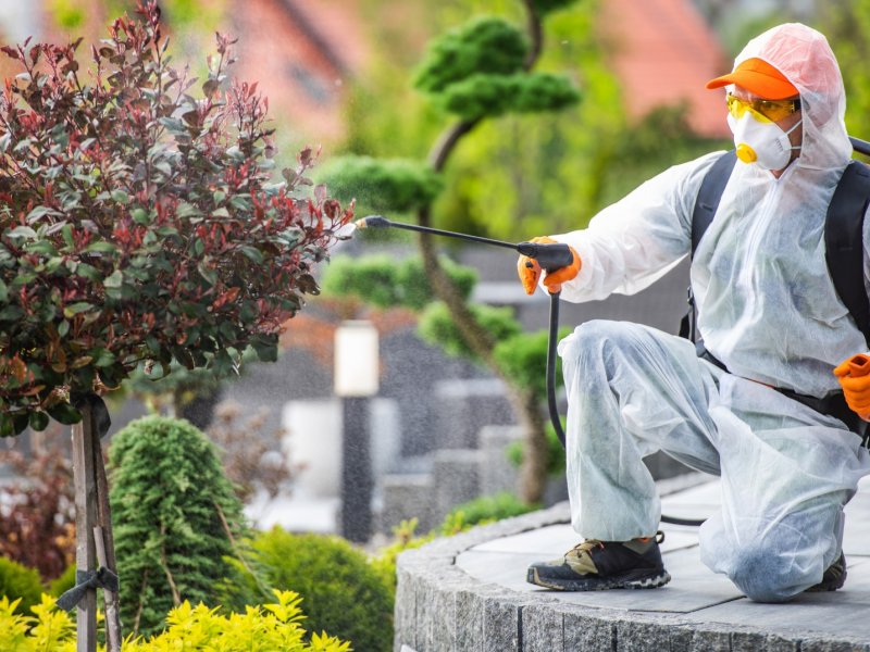 Gaziemir Haşere İlaçlama