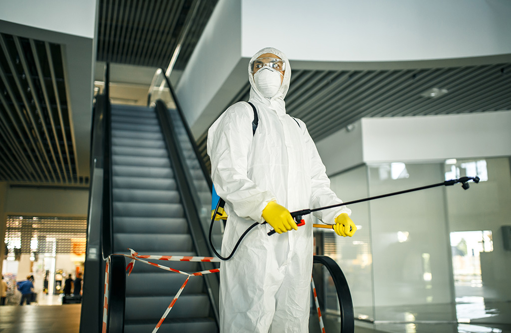 Gaziemir Haşere İlaçlama